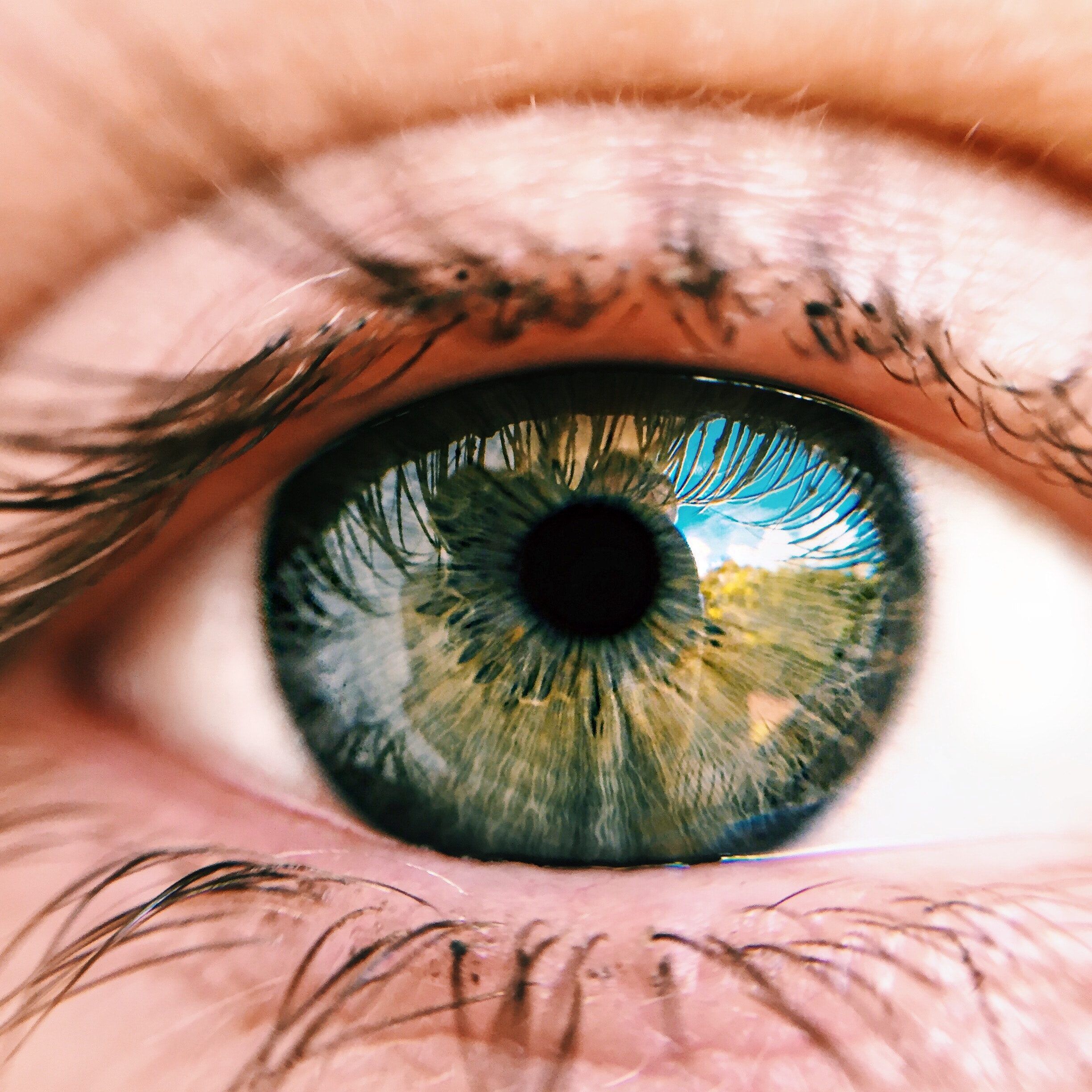 ojo