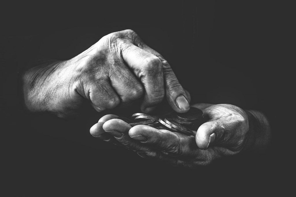 supervivencia