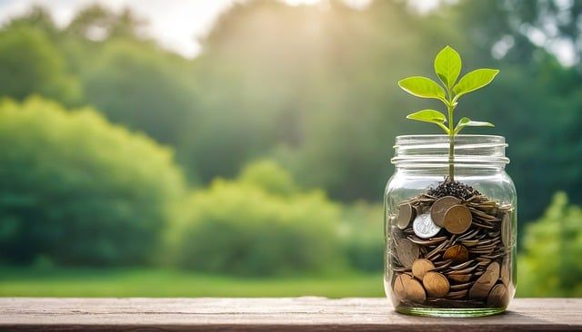 vivir tranquilo con el dinero
