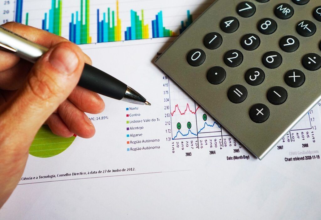 control de ingresos y gastos